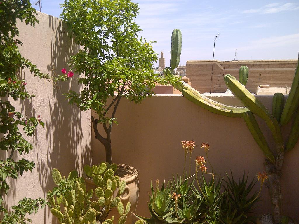 מרקש Riad Irene מראה חיצוני תמונה