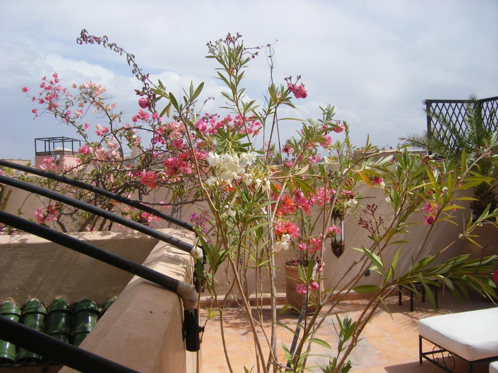 מרקש Riad Irene מראה חיצוני תמונה