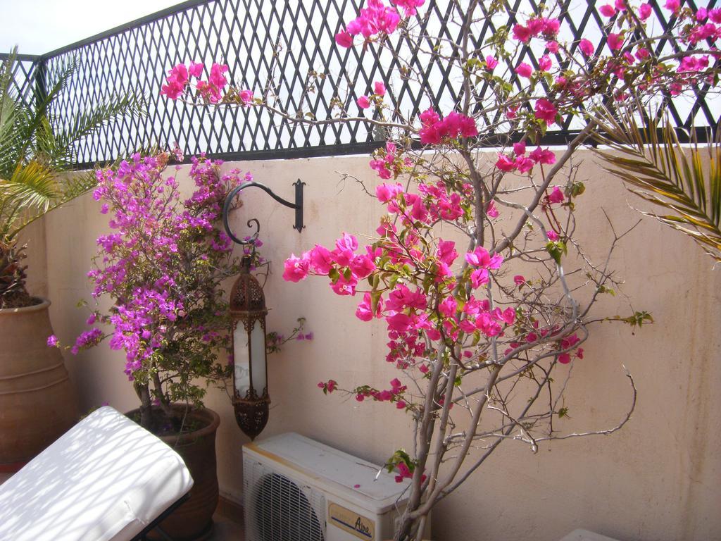 מרקש Riad Irene מראה חיצוני תמונה
